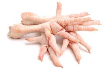 Chicken Feet Paws