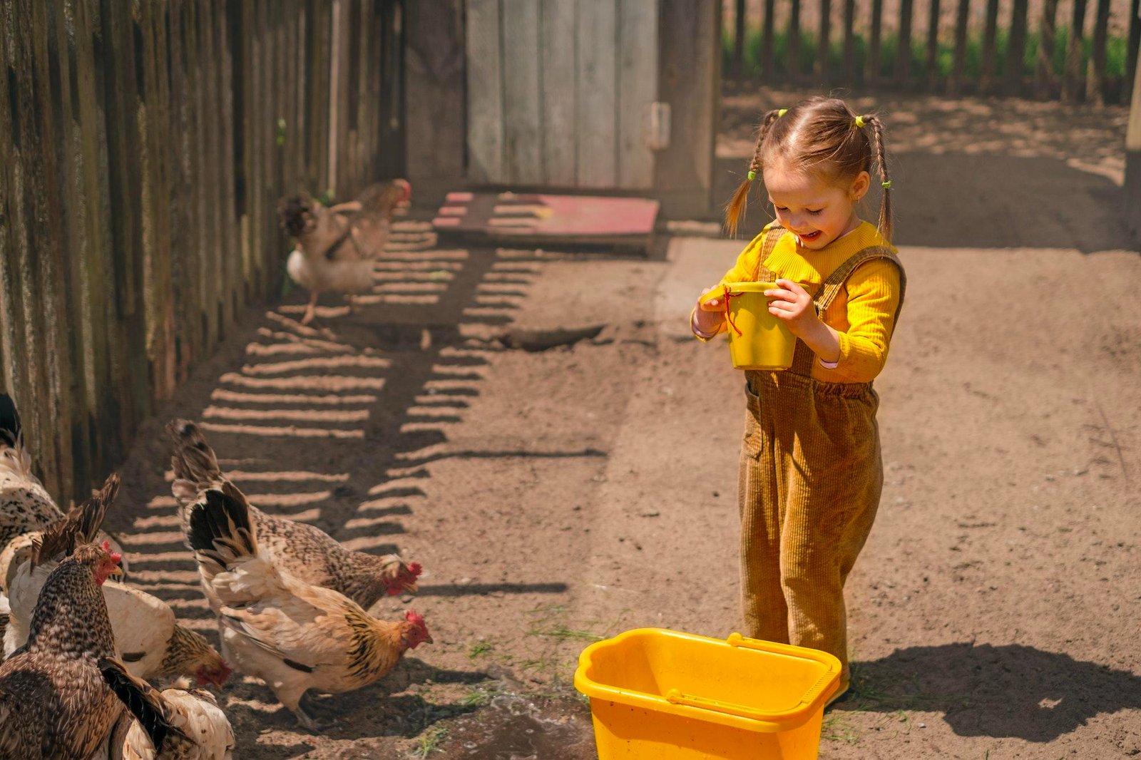 A child feeds poultry on a farm